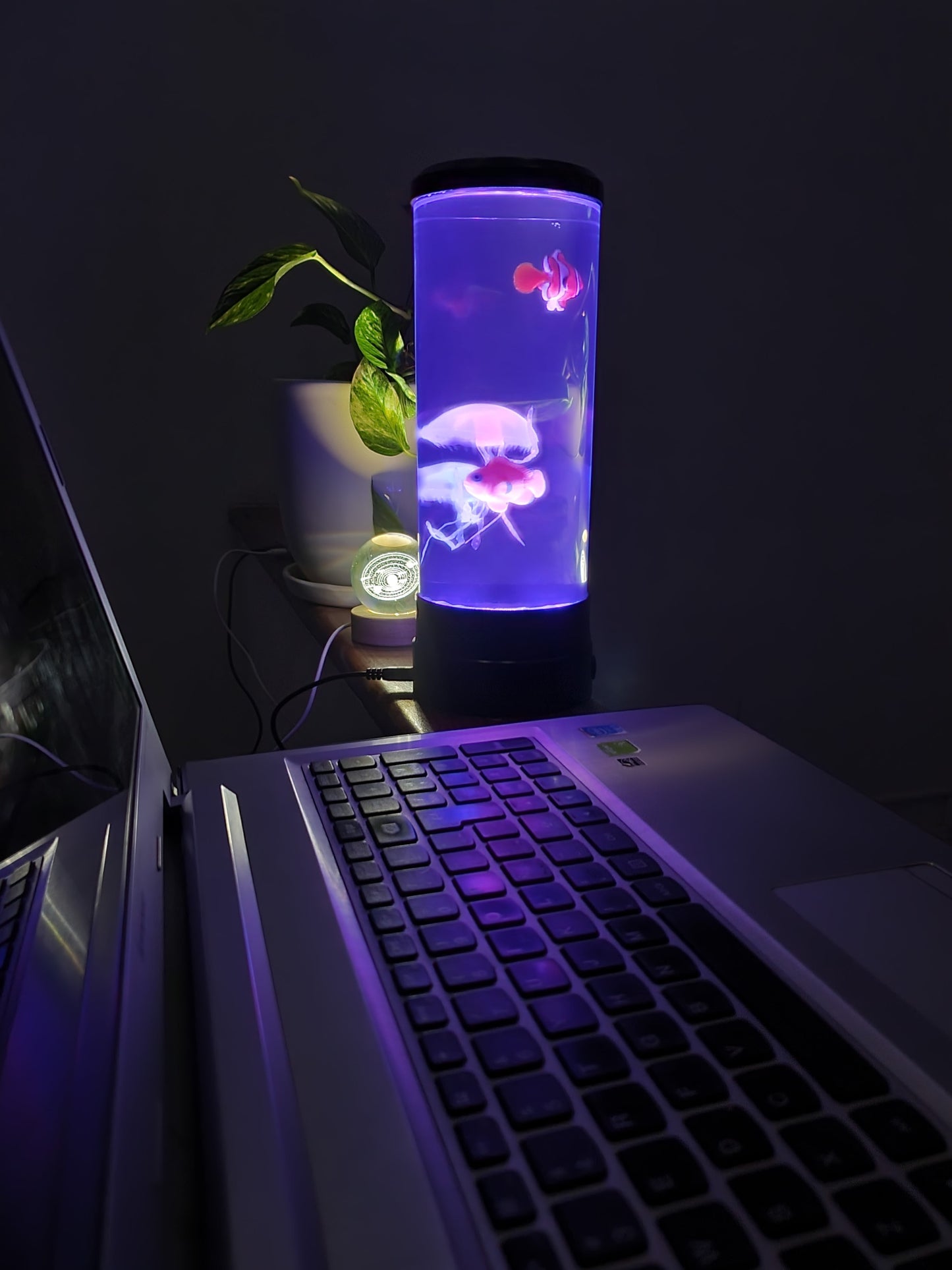LAMPARA DE MEDUSAS + envío gratis🎁